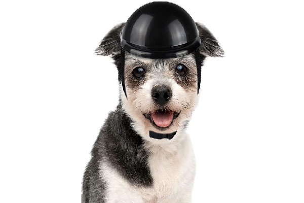 LESYPET Dog Helmet