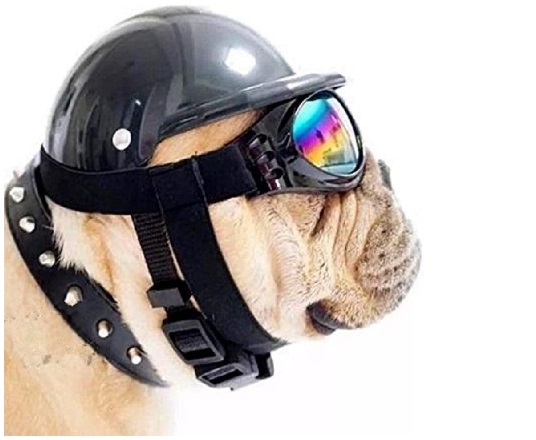 ShopTrend Dog Hat with Goggles