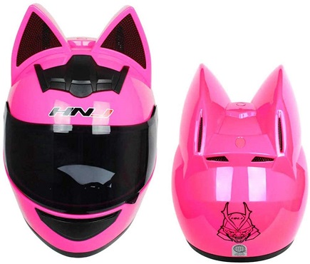 Best Cat Motorcycle Helmet Reviews With Accessory & Upgrade Process 